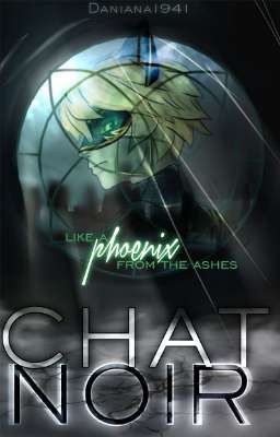 Like a phoenix from the ashes | Chat Noir II