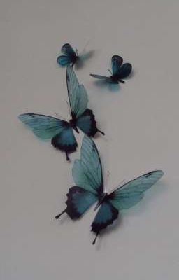 Like Butterflies 