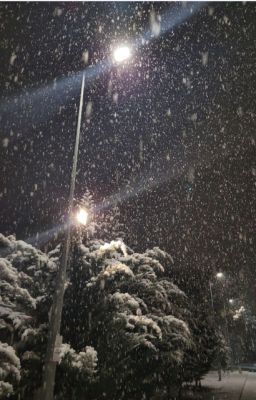 [linhgill] đêm đông..anh nhớ em....