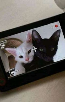 [ LinhRio ] Hạng Nhất