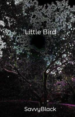 Little Bird