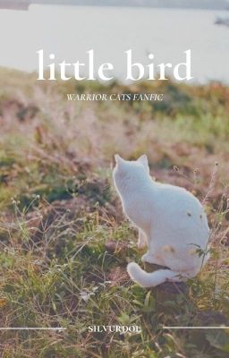 little bird | 𝘄𝗮𝗿𝗿𝗶𝗼𝗿 𝗰𝗮𝘁𝘀 𝗳𝗮𝗻𝗳𝗶𝗰