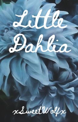 Little Dahlia