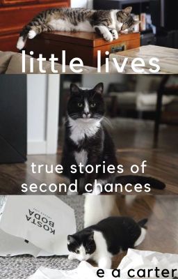 little lives - true stories of second chances