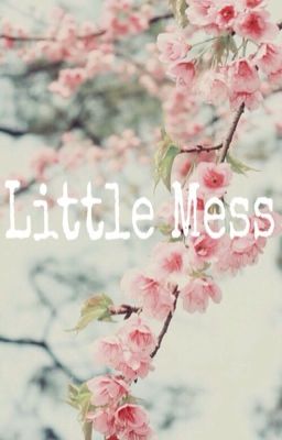 Little Mess