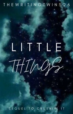 Little Things (HIATUS)