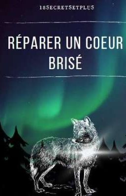 LIVRE 3 Réparer un coeur brisé (Omégaverse)