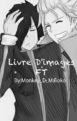 Livre D'images FT