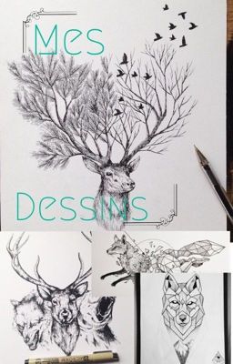 Livre de dessins