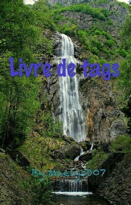 Livre de tags