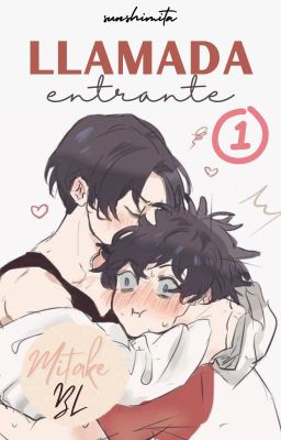 Llamada Entrante | MiTake