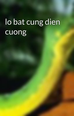 lo bat cung dien cuong