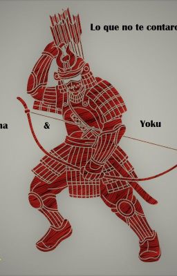 Lo que no te contaron... sobre Hanayama & Yoku