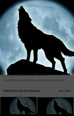 lobos 