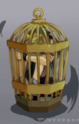 Locked in a Cage of My Own Confusion