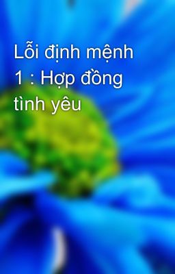 Lỗi định mệnh 1 : Hợp đồng tình yêu