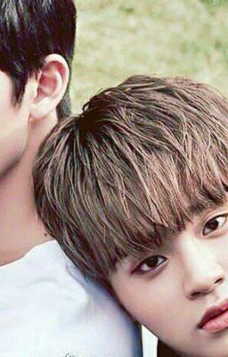 [ Long fic ] [ BaeHwi ] 🍀 Osin! Tôi Yêu Em 🍀