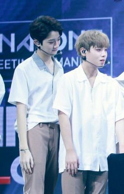 [Long fic ] panwink   Tình yêu của bác sĩ