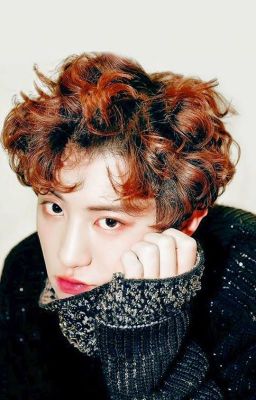 [Longfic]|ChanBaek|HunHan|KrisTao|XiuChen| Người tôi yêu chỉ có em