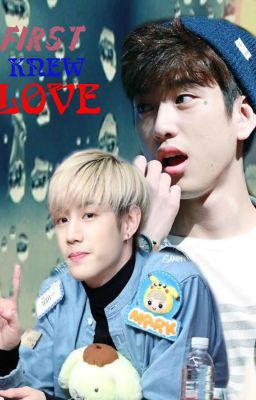 (Longfic) First knew love... Markjin