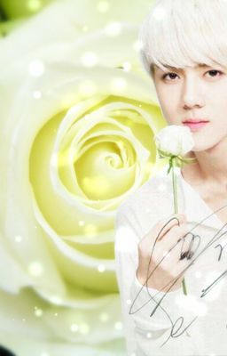 [Longfic] [Hunhan, Chanbaek, Kristao] Anh muốn thuê em trọn đời! [ym]