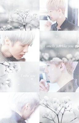 [Longfic] [HunHan] Em là tất cả đối với tôi, Hannie à! [H]