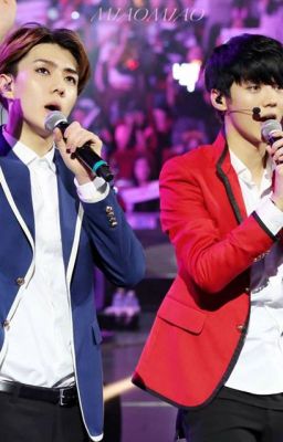 [Longfic] ( HunHan) Tôi ghét anh...đồ du côn