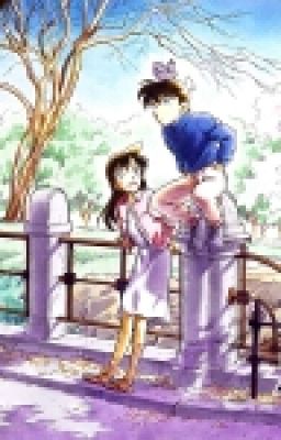 [ Longfic ShinRan ] Câu Chuyện Tình Yêu