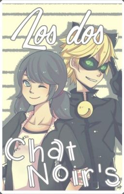 Los dos Chat Noir's