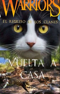 Los Gatos Guerreros-El regreso de los clanes-Vuelta a casa