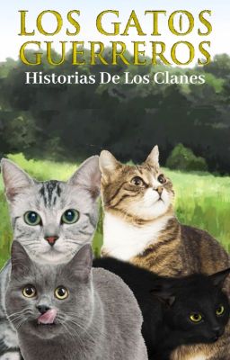 Los Gatos guerreros - Historias De Los Clanes