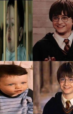 Los hermanos Potter