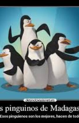 Los pingüinos de Madagascar 2-una elite femenina