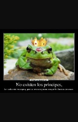 Los principes no existen