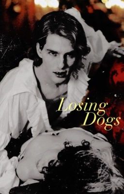 Losing Dogs ✷ Stefan Salvatore