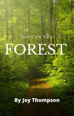 Lost In The Forest