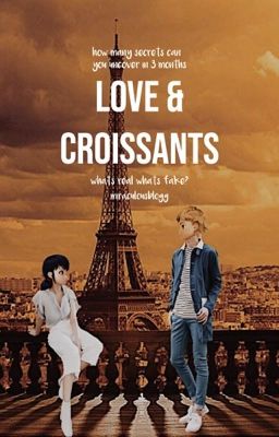 love & croissants 🥐 miraculous ladybug au