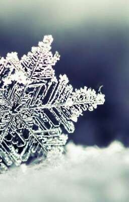 Love Is My Snowflake 