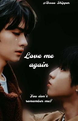 Love me again ~Minsung~ ✓