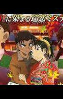 Love Story ( Based On Detective Conan)