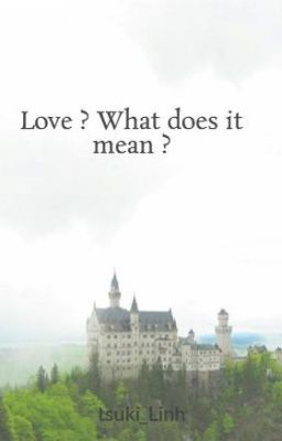 Love ? What does it mean ?