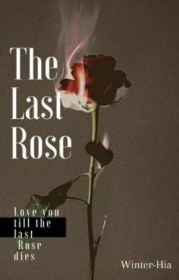 love you till the last rose dies ( Completed ✔️)