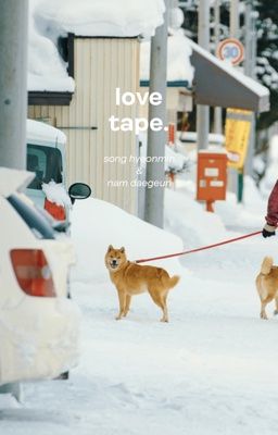 lovetape ⊹ ࣪ ˖ clearable