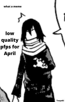 Low Quality BNHA - April