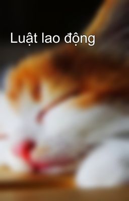 Luật lao động 