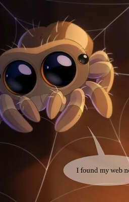 Lucas The spider