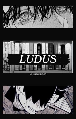 LUDUS |K. TETSURO x M. INSERT|