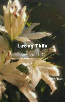 LƯƠNG THẦN _ CỐI XAY TÌNH YÊU (ĐM)