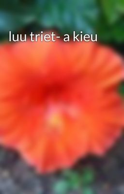 luu triet- a kieu