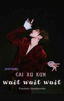 [LYRICS | VIETSUB] WAIT WAIT WAIT - CAI XU KUN (THÁI TỪ KHÔN)